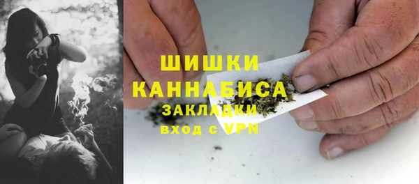 трава Медвежьегорск