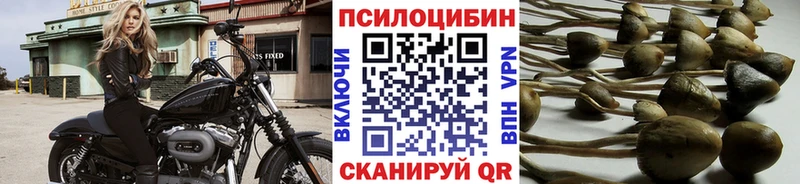 blacksprut как зайти Циолковский Галлюциногенные грибы прущие грибы